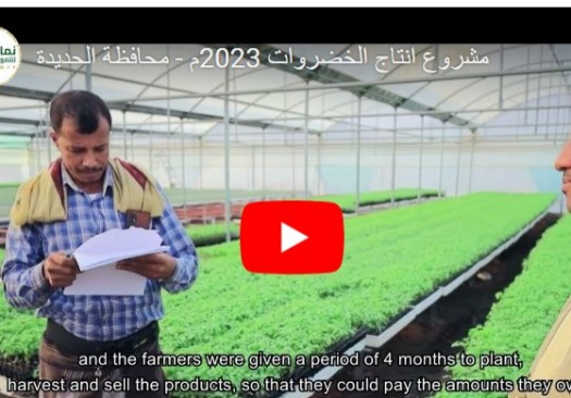 مشروع انتاج الخضروات 2023م - محافظة الحديدة